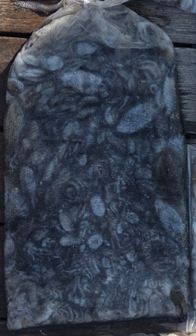 1000020134.png