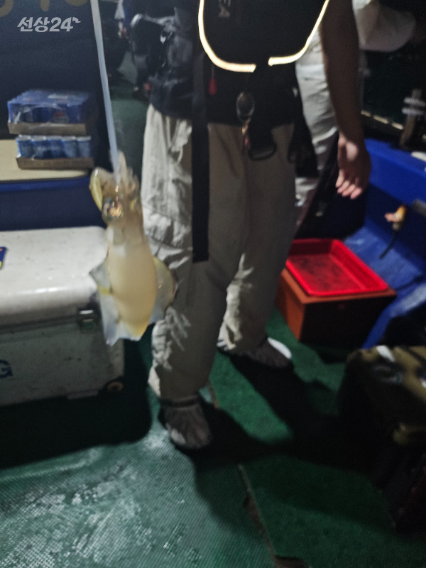 KakaoTalk_20260916_112733568.jpg