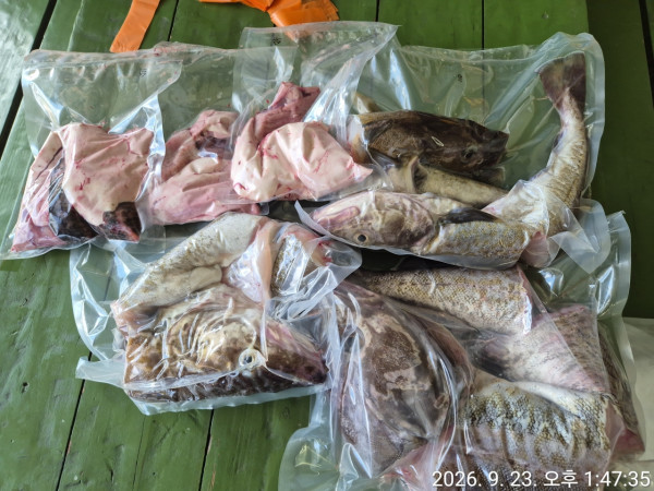 공현진낚시마트(돌핀호)_사진_20260923_13.jpeg