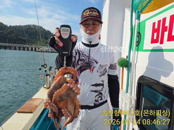 IMG_20260924_084627.jpg