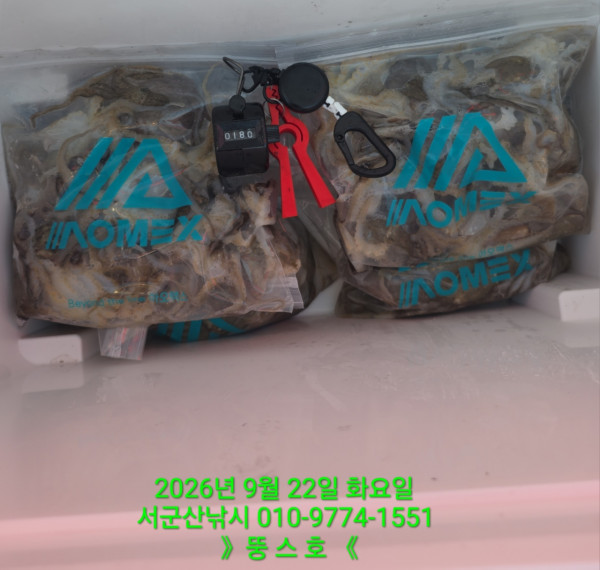 군산 선상낚시, 바다낚시 출조 전문 ☆서군산낚시☆_사진_20260922_4.jpg