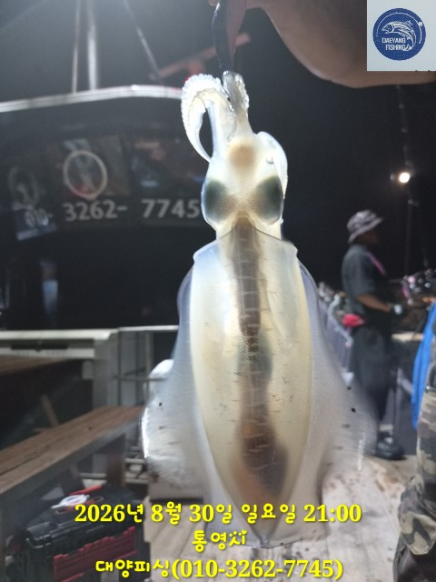 13242.jpg