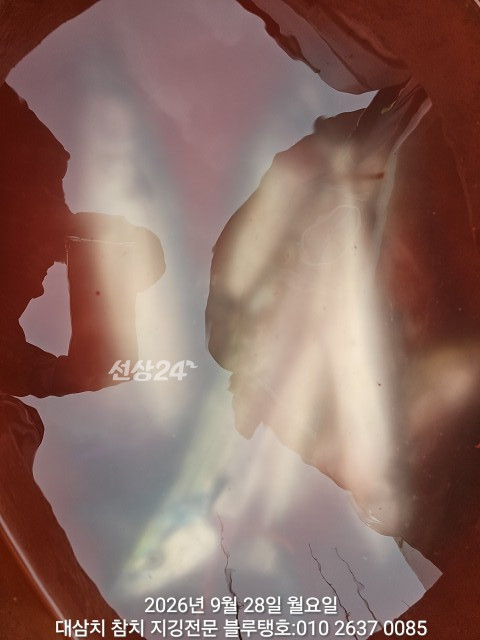 20260928_083209.jpg
