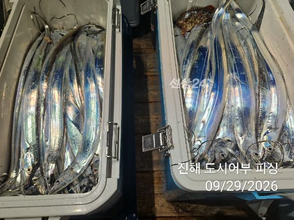 KakaoTalk_20260929_052220398_14.jpg