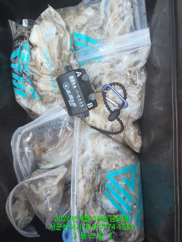 군산 선상낚시, 바다낚시 출조 전문 ☆서군산낚시☆_사진_20260918_3.jpg
