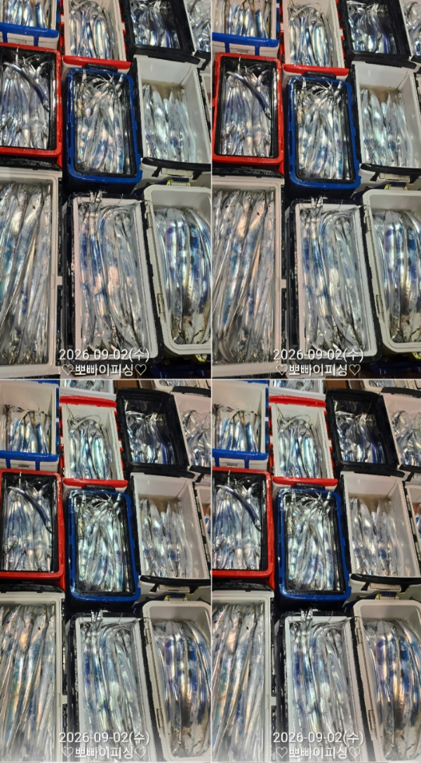 1000113730.jpg