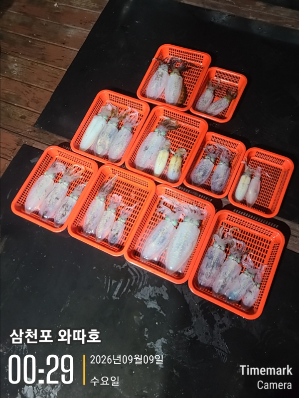 14108.jpg