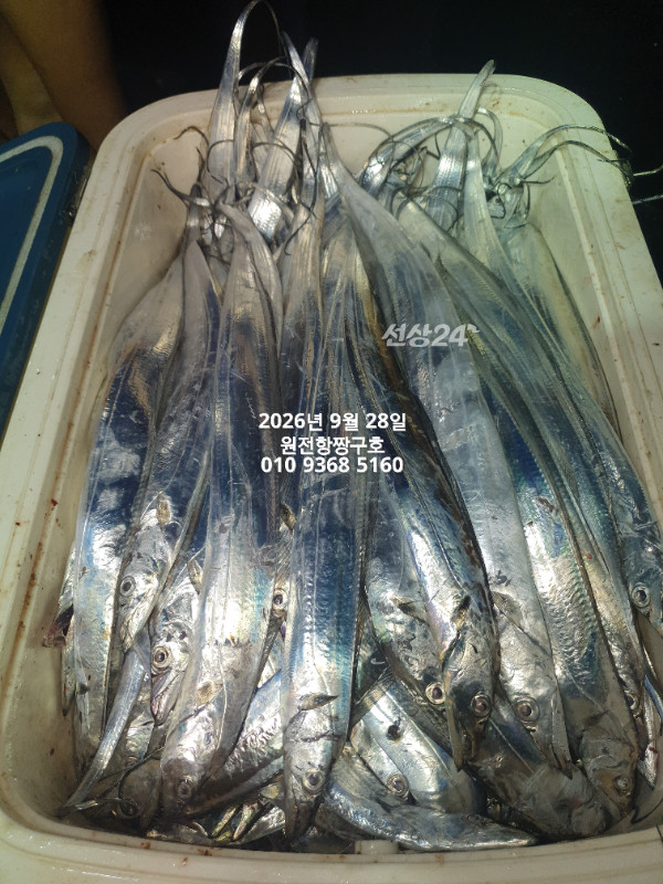 KakaoTalk_20260928_022330431_07.jpg