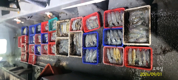 DateCamera0901003417.jpg