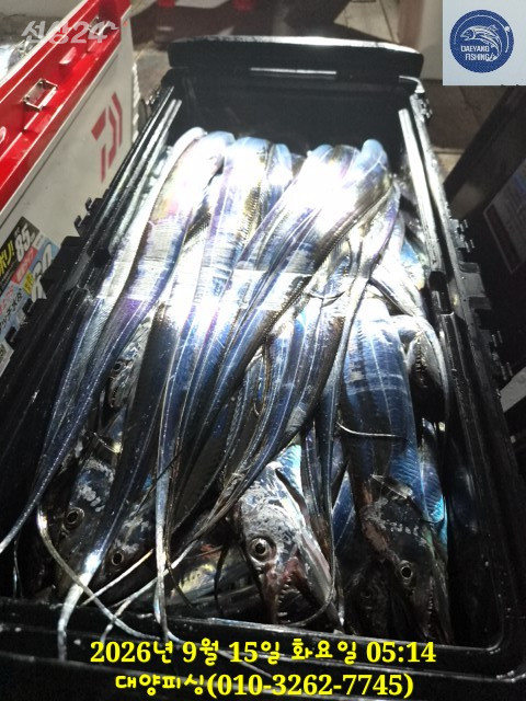 14047.jpg