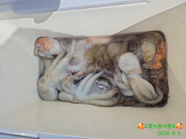 쎄븐피싱클럽(선상 버스출조전문)_사진_20260908_8.jpg