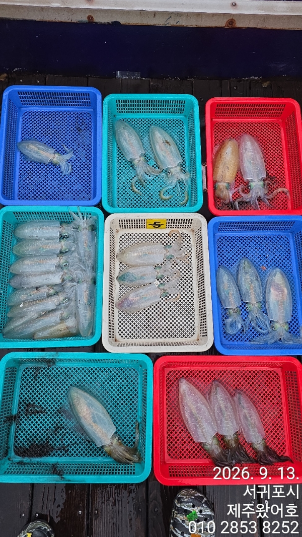제주왔어호_사진_20260913_2.jpg