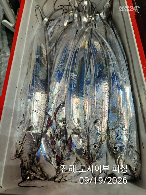 KakaoTalk_20260919_054500726_18.jpg