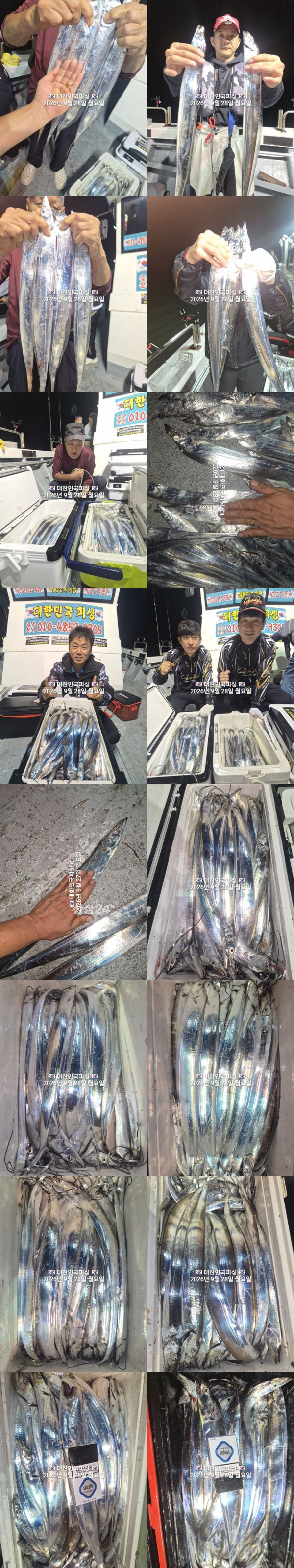 갈치1.jpg