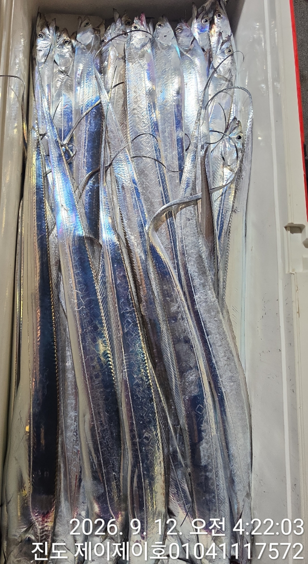 1000054901.jpg