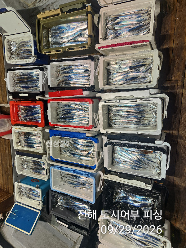 KakaoTalk_20260929_052220398_06.jpg
