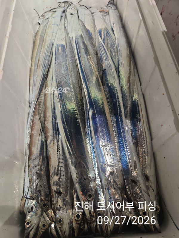 KakaoTalk_20260927_050422422_16.jpg