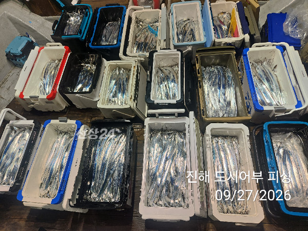 KakaoTalk_20260927_050422422_08.jpg