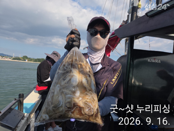 95173.jpg
