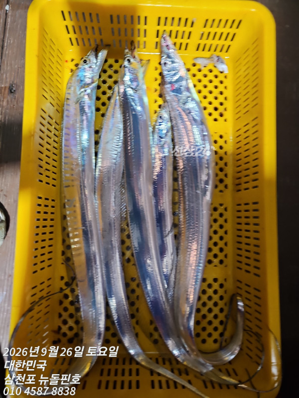 1000010005.jpg