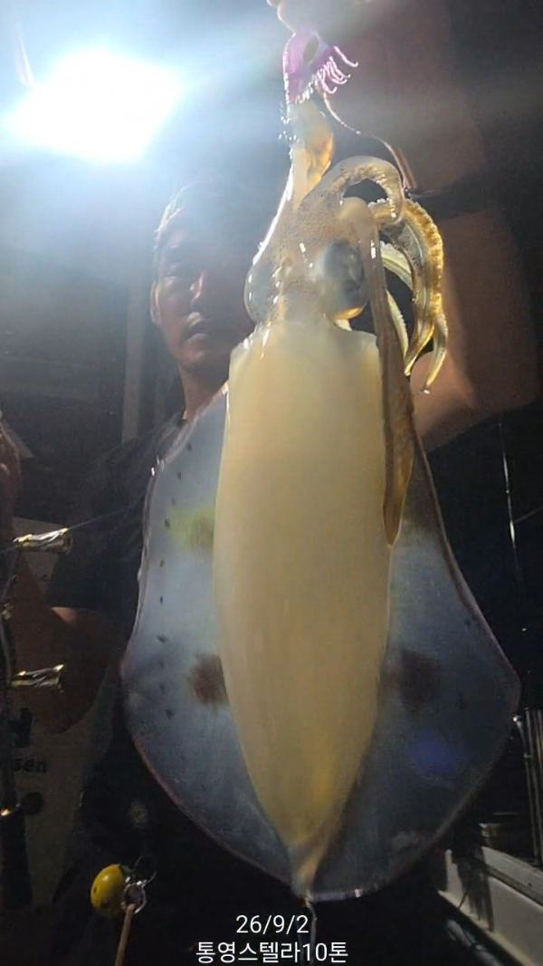 TimeVideo_20260902_235105.jpg