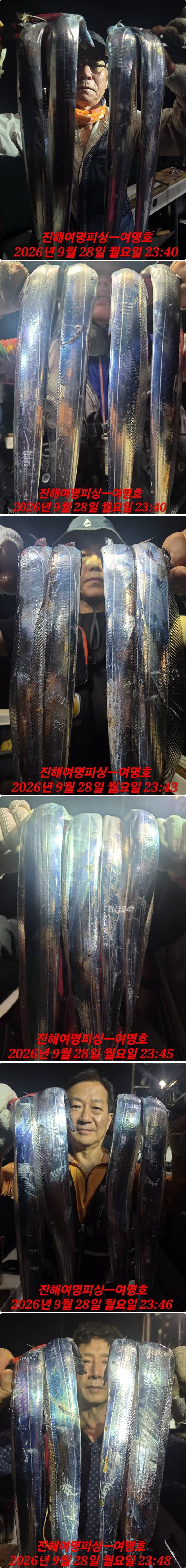 29일갈치중.jpg