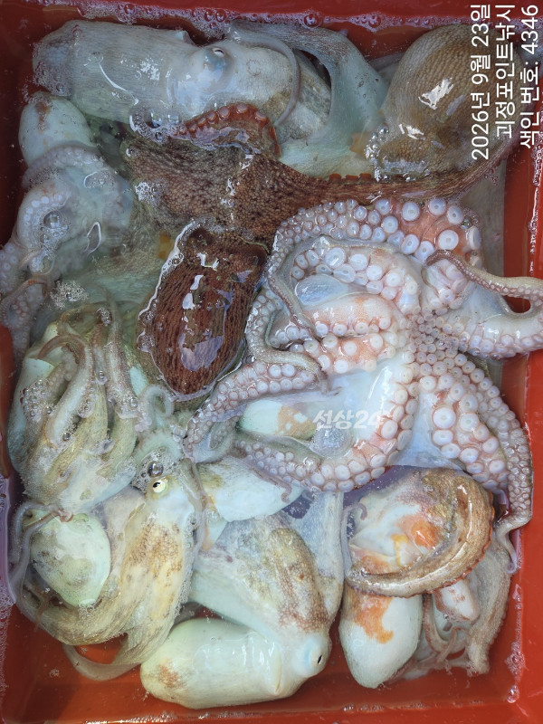 KakaoTalk_20260924_151141132_06.jpg