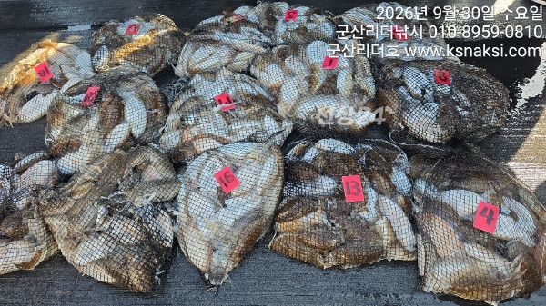 KakaoTalk_20260930_155842481_02.jpg