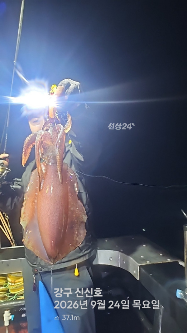 신신낚시 강구점 신신호_사진_20260925_8.jpg