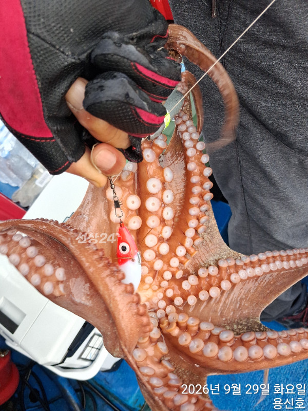 841.jpg