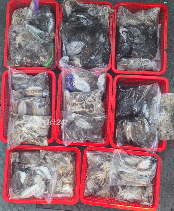 KakaoTalk_20260929_213305702.jpg