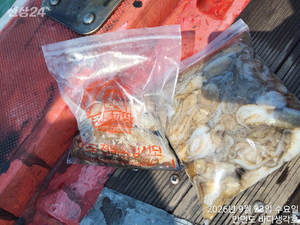 KakaoTalk_20260923_190528616 (1).jpg