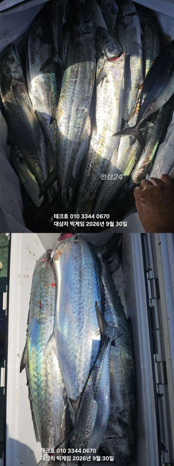 KakaoTalk_20260930_110633436_09-vert.jpg