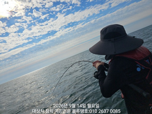 20260914_085244.jpg