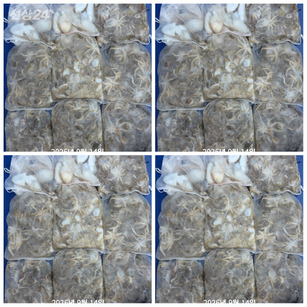 PhotoCollage_1789369728080.jpg