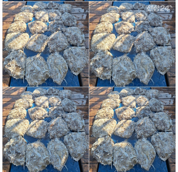 1000080861.jpg