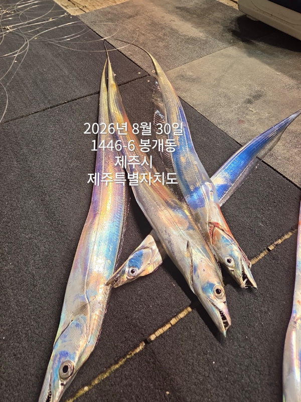 F3D85622-8B7D-4685-BD02-46481E698926.jpeg
