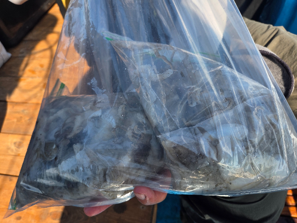 1000022677.jpg