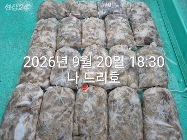 KakaoTalk_20260920_192144674_03.jpg