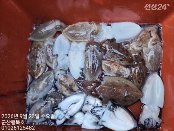 군산행복호_사진_20260923_11.jpg