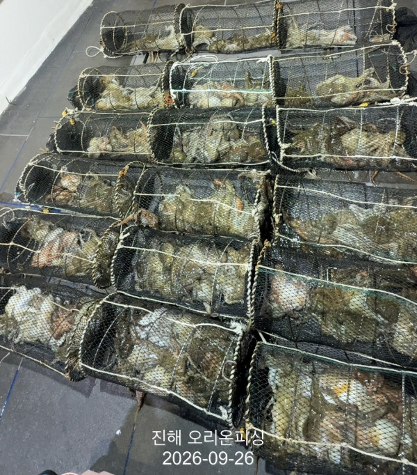 KakaoTalk_20260927_092830396_11.jpg
