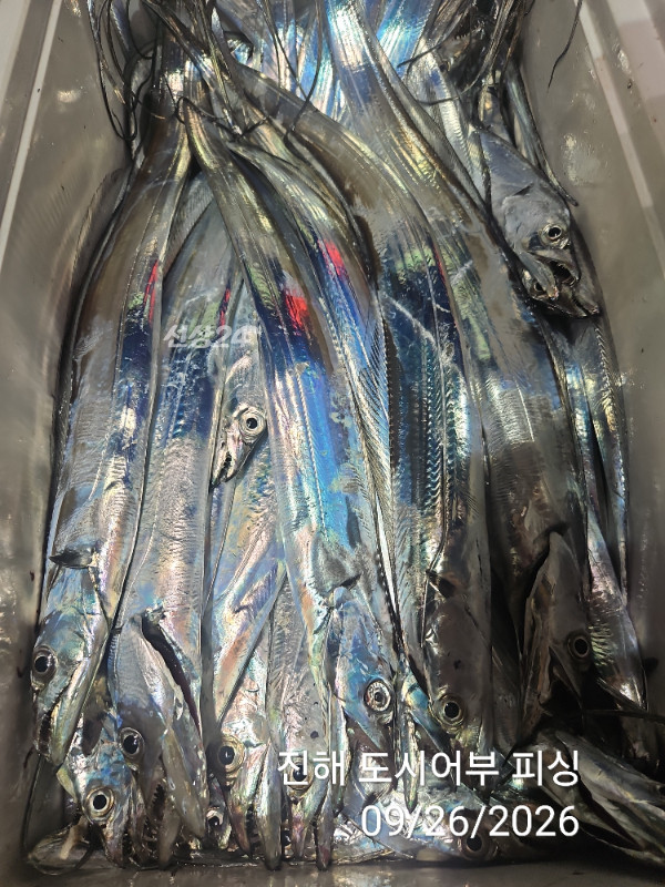 KakaoTalk_20260926_044028225_17.jpg