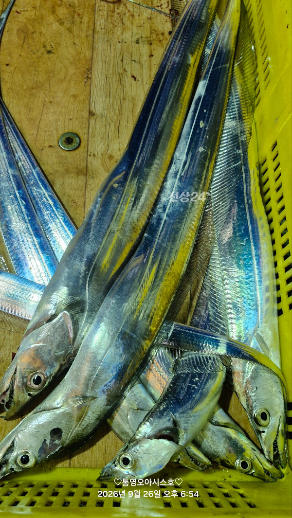83578.jpg