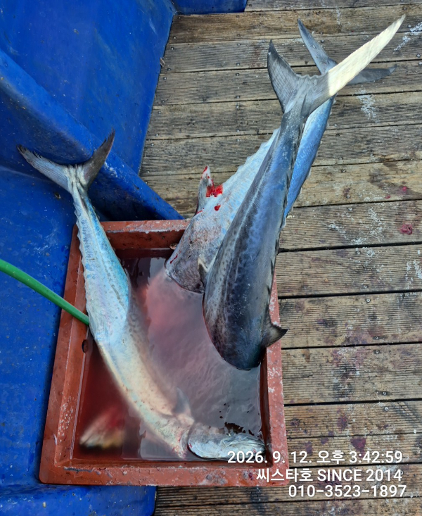 TimePhoto_20260912_154259.jpg