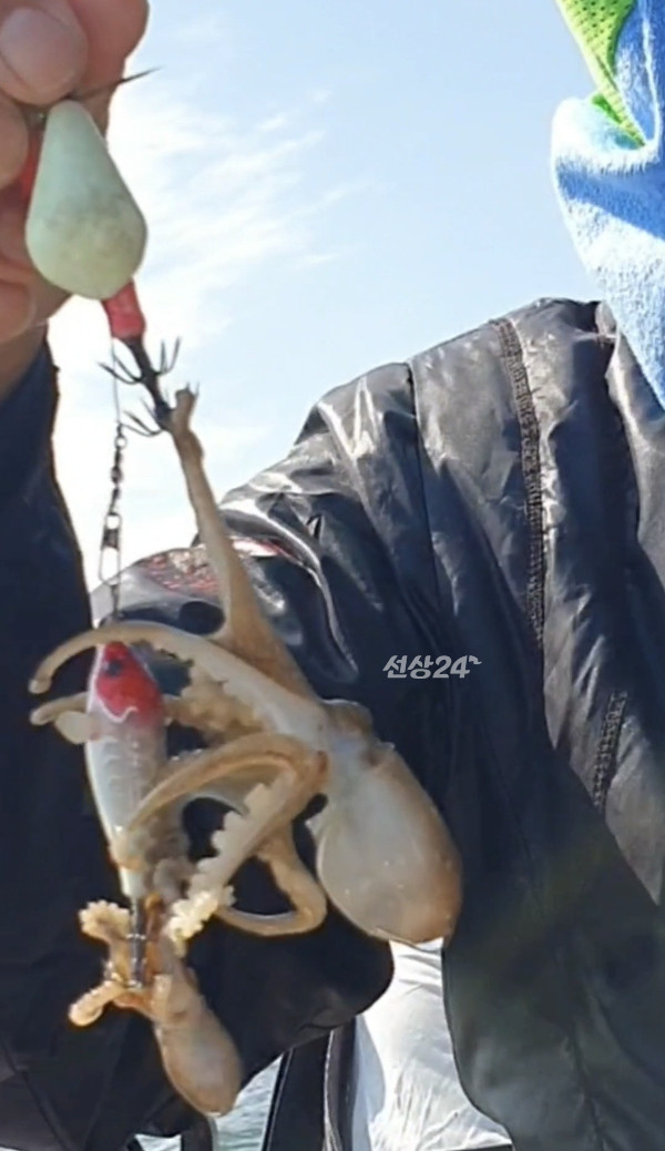 Screenshot_20260930_131151_Video Player.jpg