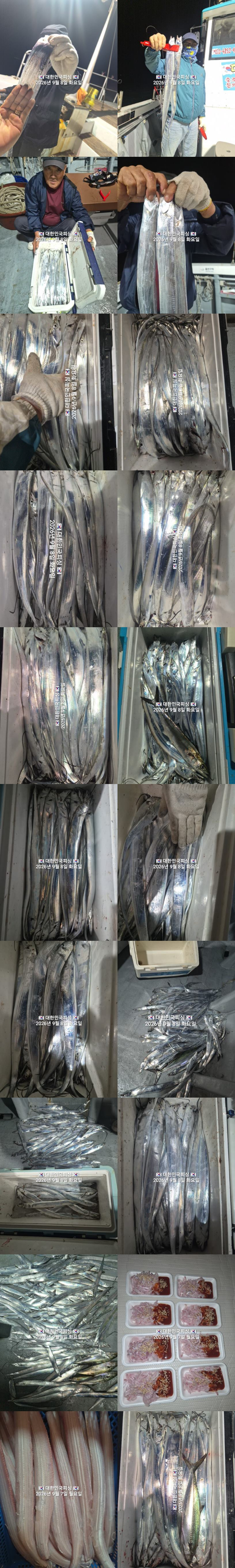 갈치1.jpg