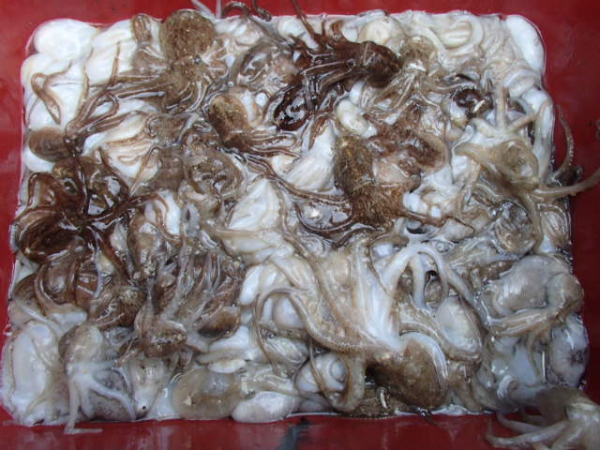 120.JPG