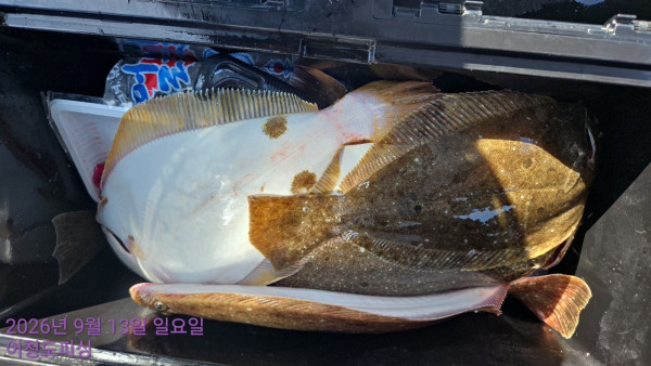 최강피싱 063.463.0800_사진_20260913_27.jpg