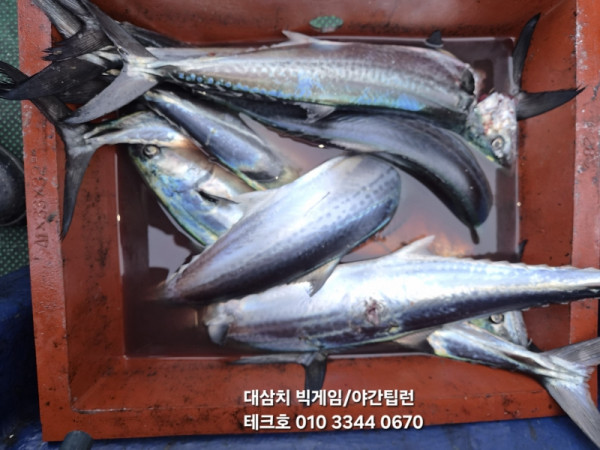 KakaoTalk_20260928_094700590_10.jpg