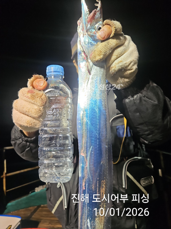 KakaoTalk_20261001_064438979_01.jpg